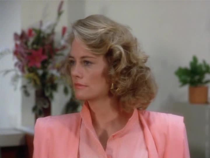 Měsíční svit 3x03 Koncert v ringu avi