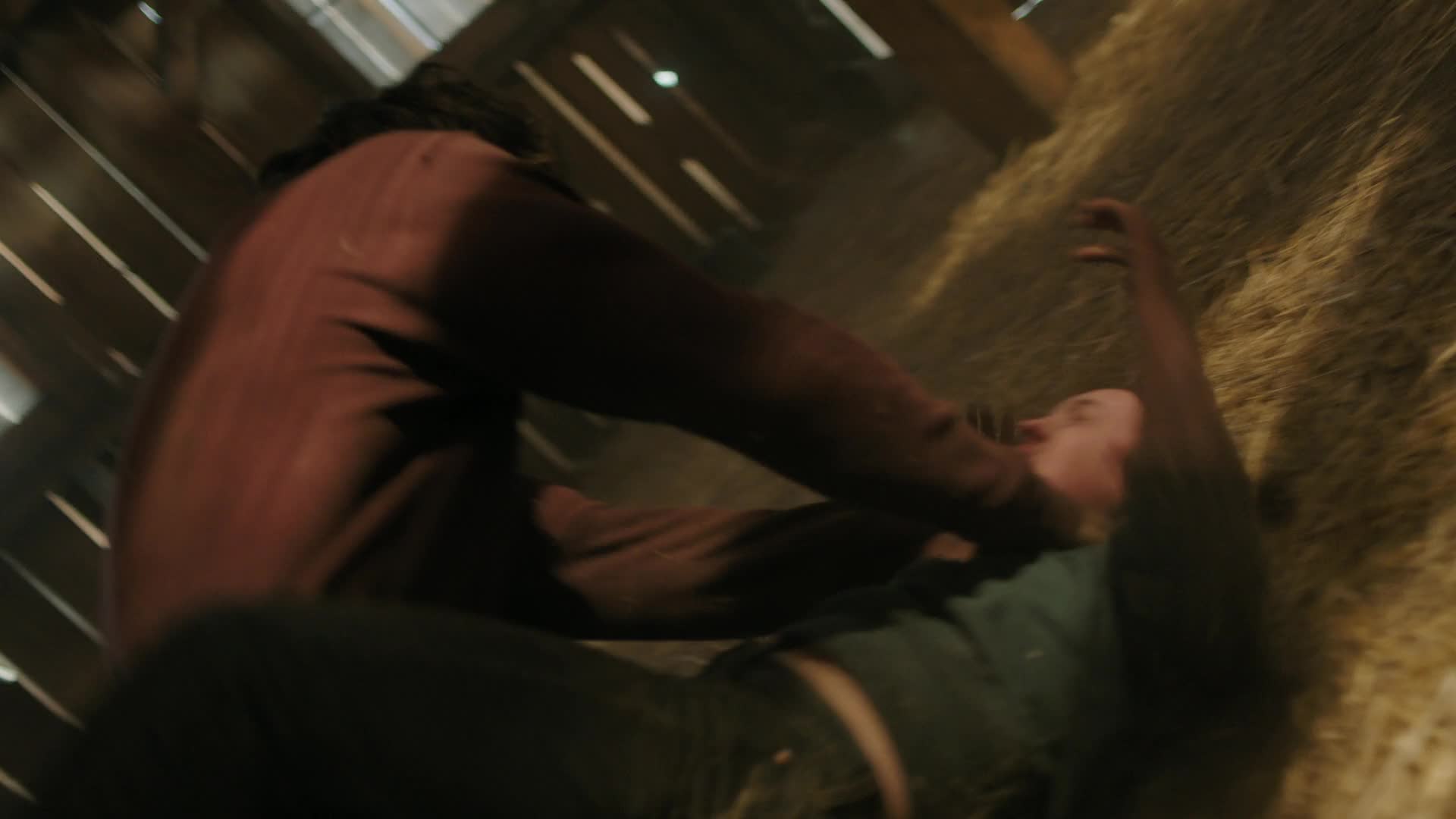 The Last of Us S02E01 2025 CZ SK dabing HD 1080p mkv