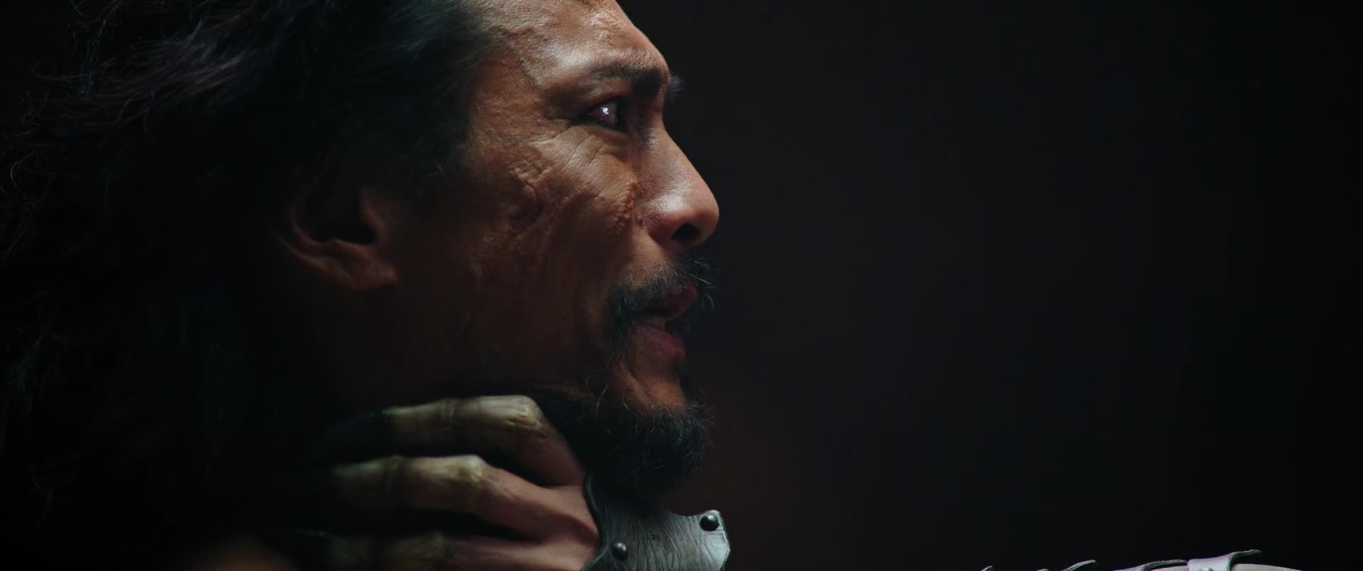 Mulan (Crystal Liu,Donnie Yen,Jet Li,Li Gong 2020 Dobrodružný Drama Rodinný Akční Bdrip 1080p ) Cz dabing mkv
