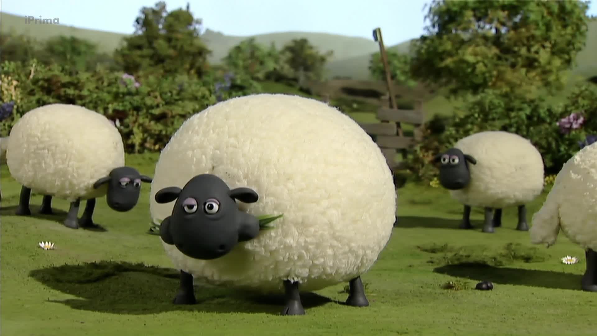 Ovecka Shaun S01E28 Skytani [Hiccups] (cz 1080p) mp4