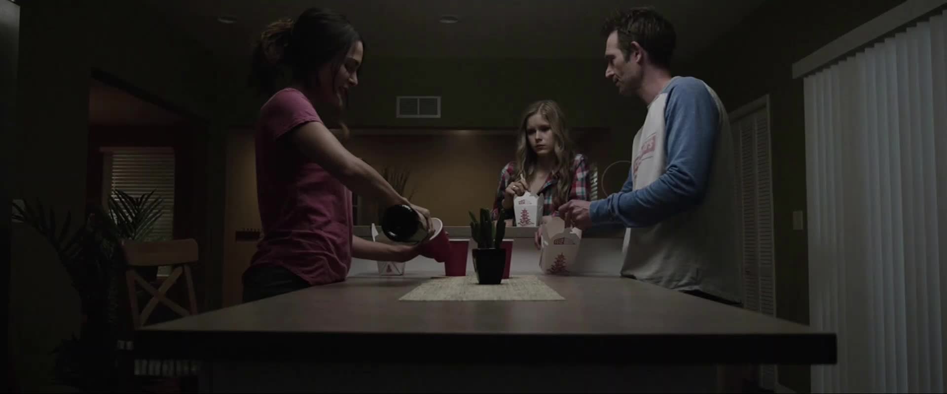 V domě (Erin Moriarty,Michael Vartan,Nadine Velazquez 2016 Horor Thriller Bdrip 1080p ) Cz dabing avi