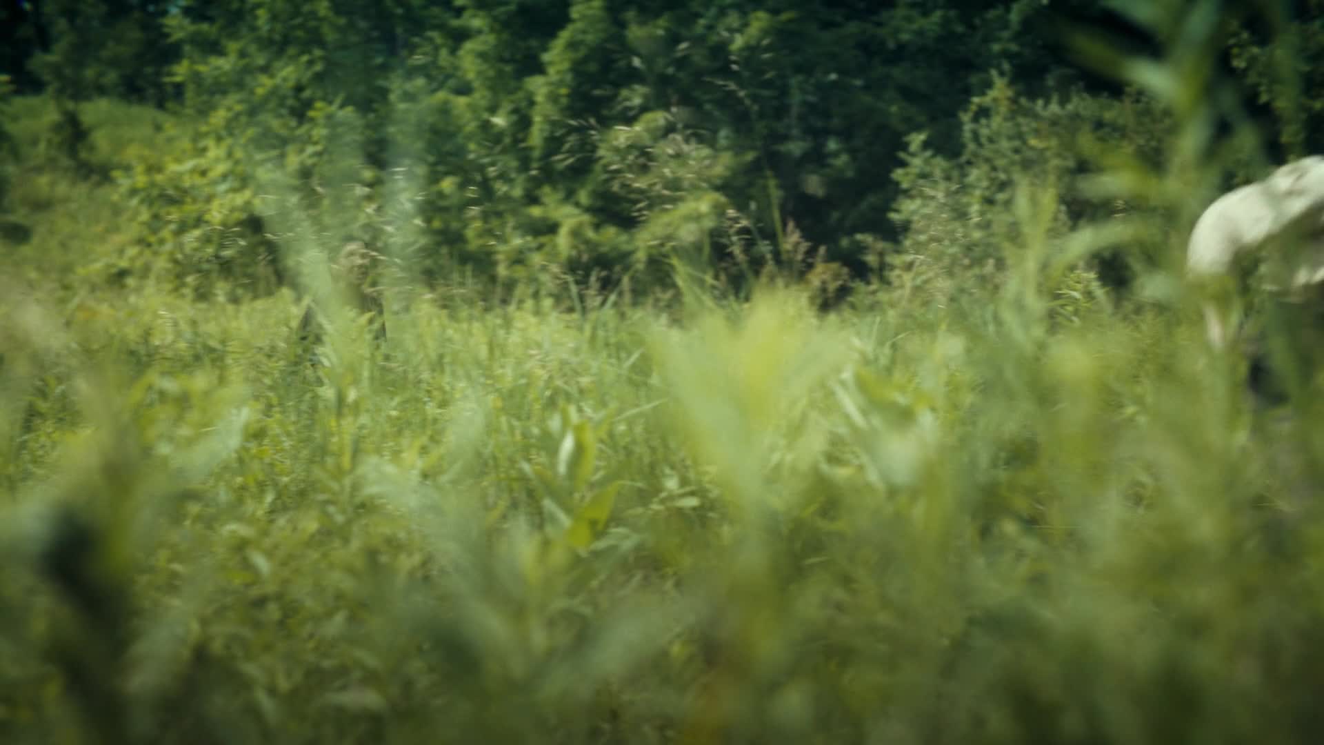 TO: Vítejte v Derry S01E03 CZ SK dabing HD 1080p mkv