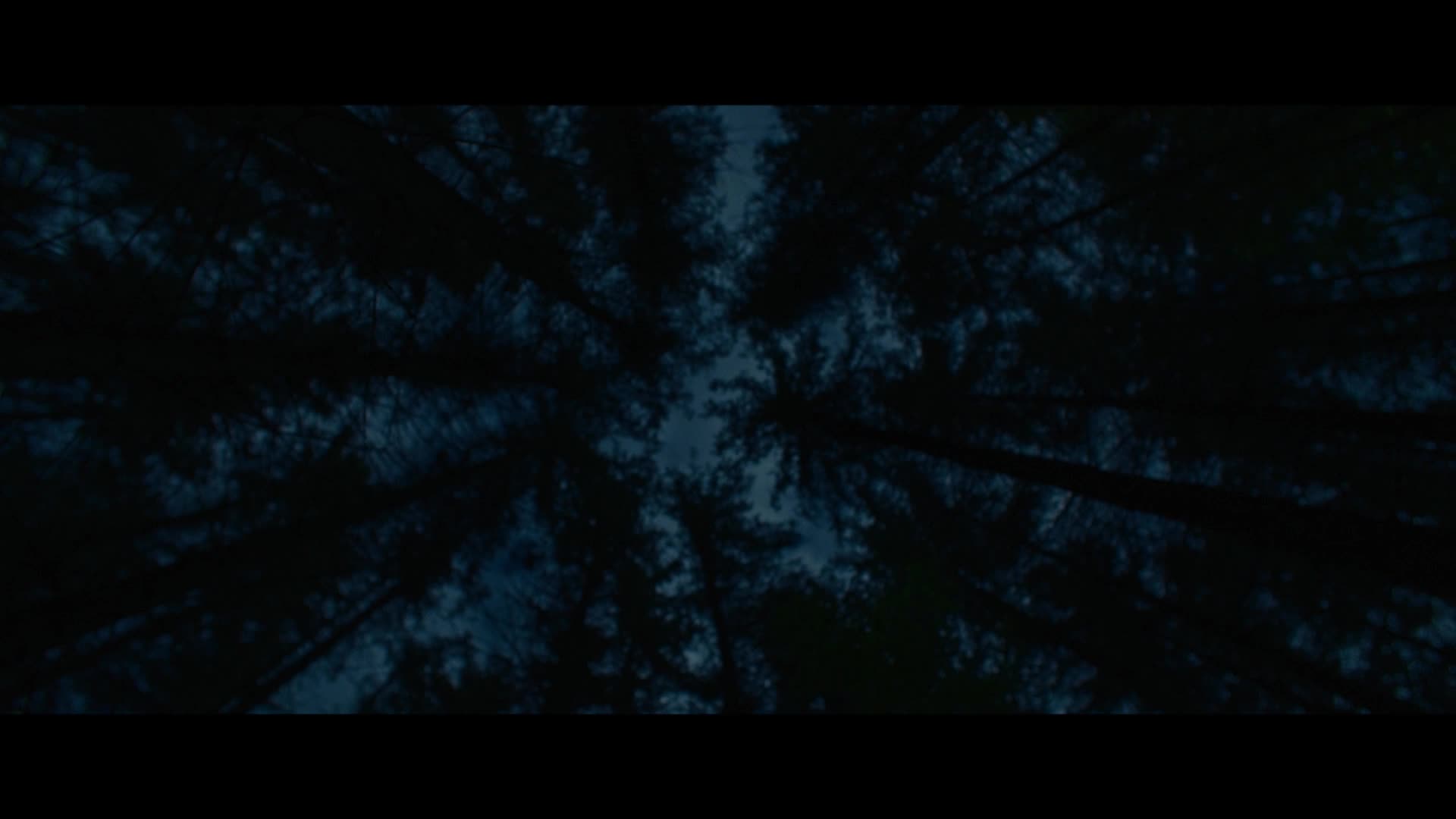 Hagen V údolí Nibelungů S01E03 06 2025 CZ dab 1080p Epizoda 3 mkv