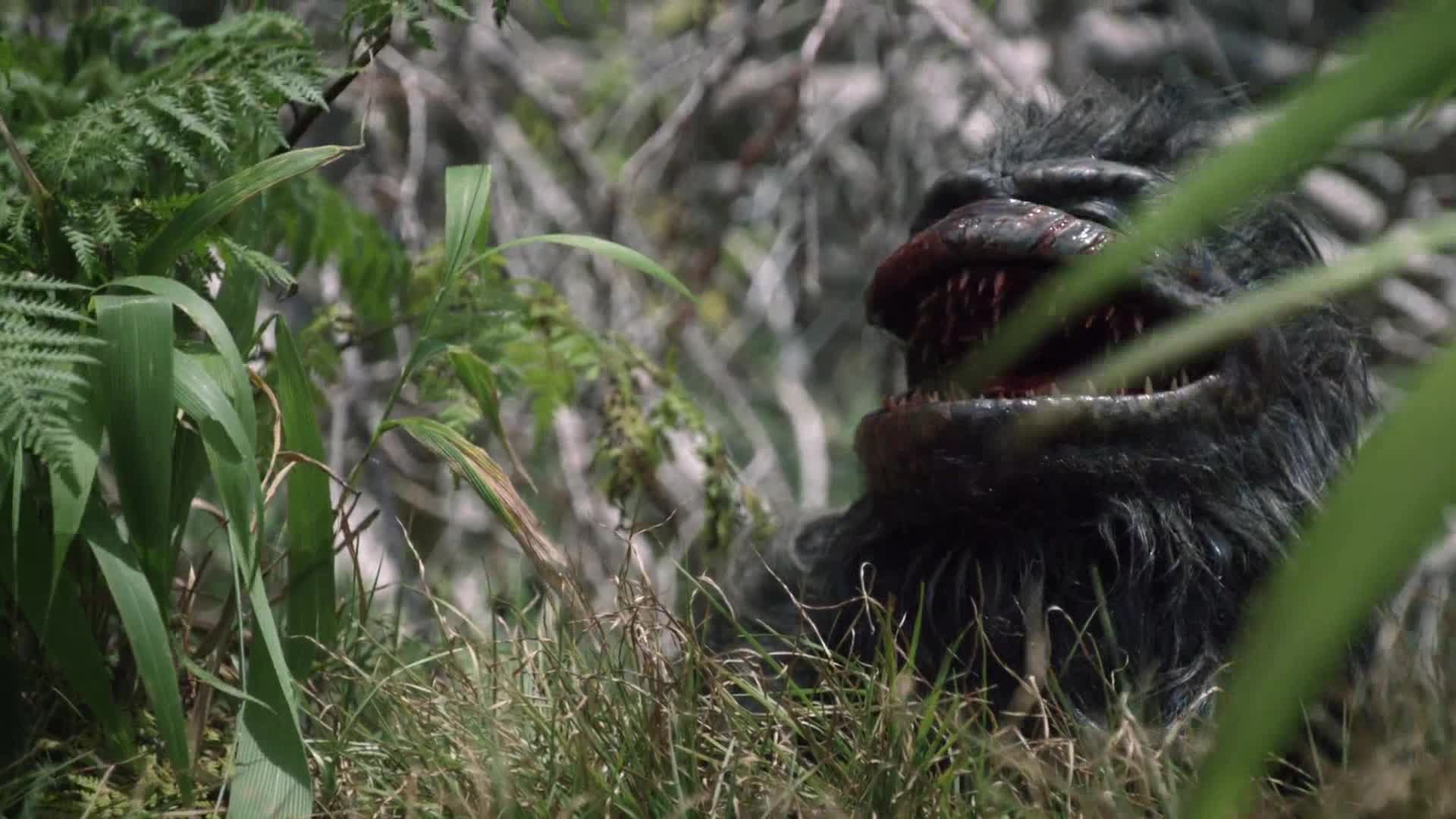 Příšerky útočí 2019 CZ dab 1080p avi