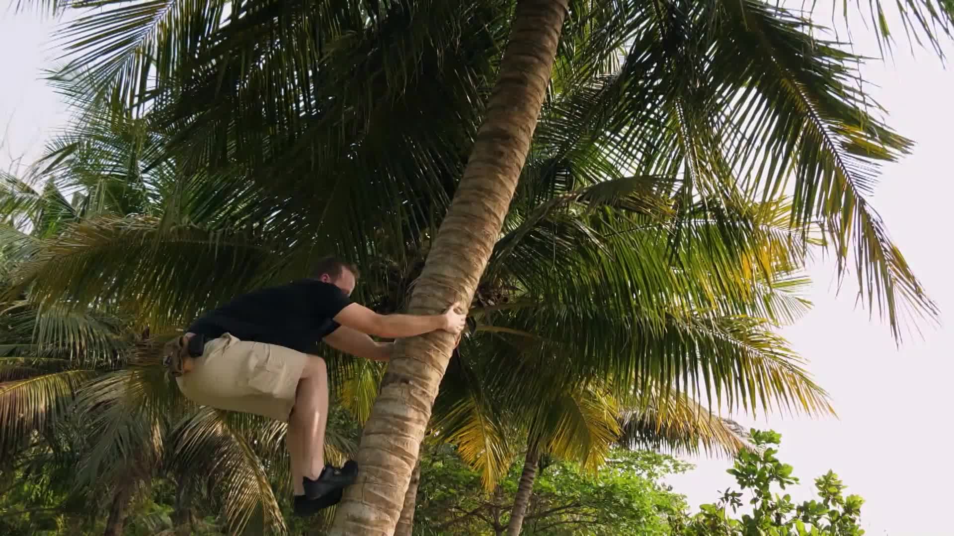 Trabantem z Indie až domů S01E02 14 2019 CZ dab 1080p Blbec s razítkem mp4