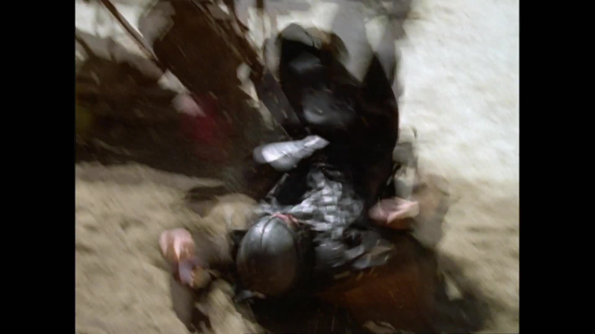 Herkules S03E15 22 1996 CZ dab 1080p Soudný den mkv