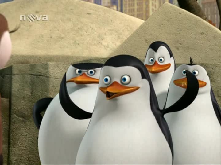 Tučňáci z Madagaskaru S02E19 Operace Dobrý čin Jídlonosná past SDTV x264 PiP mp4