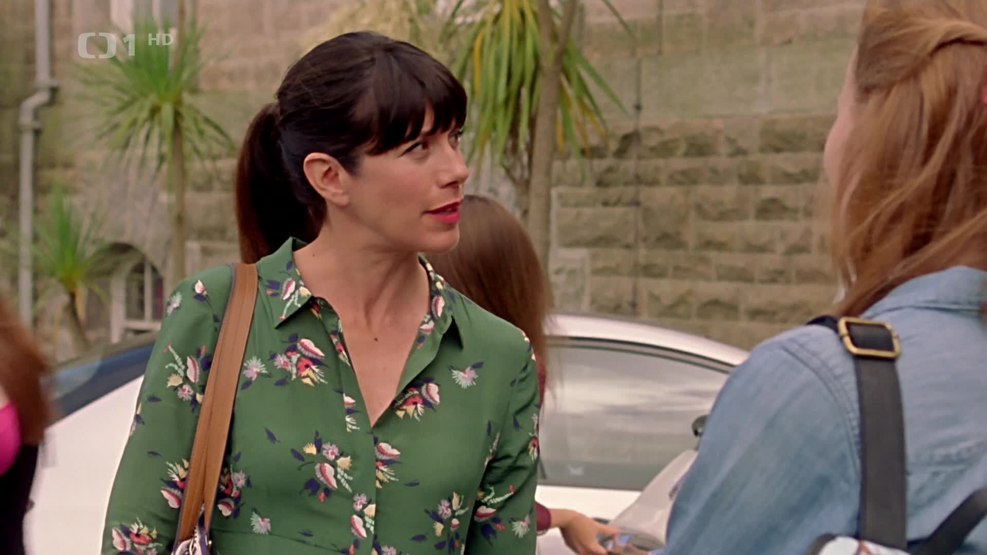 Doktor Martin (UK) 08x06 Hrdina proti své vůli 1080i HDTV CZ mkv