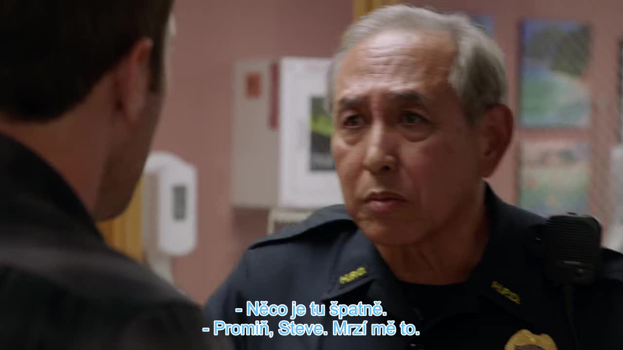 Hawaii 5 0 S09E12 Autonehoda cz tit mkv