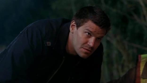 Sběratelé kostí s03e14 Amatér v trávě avi