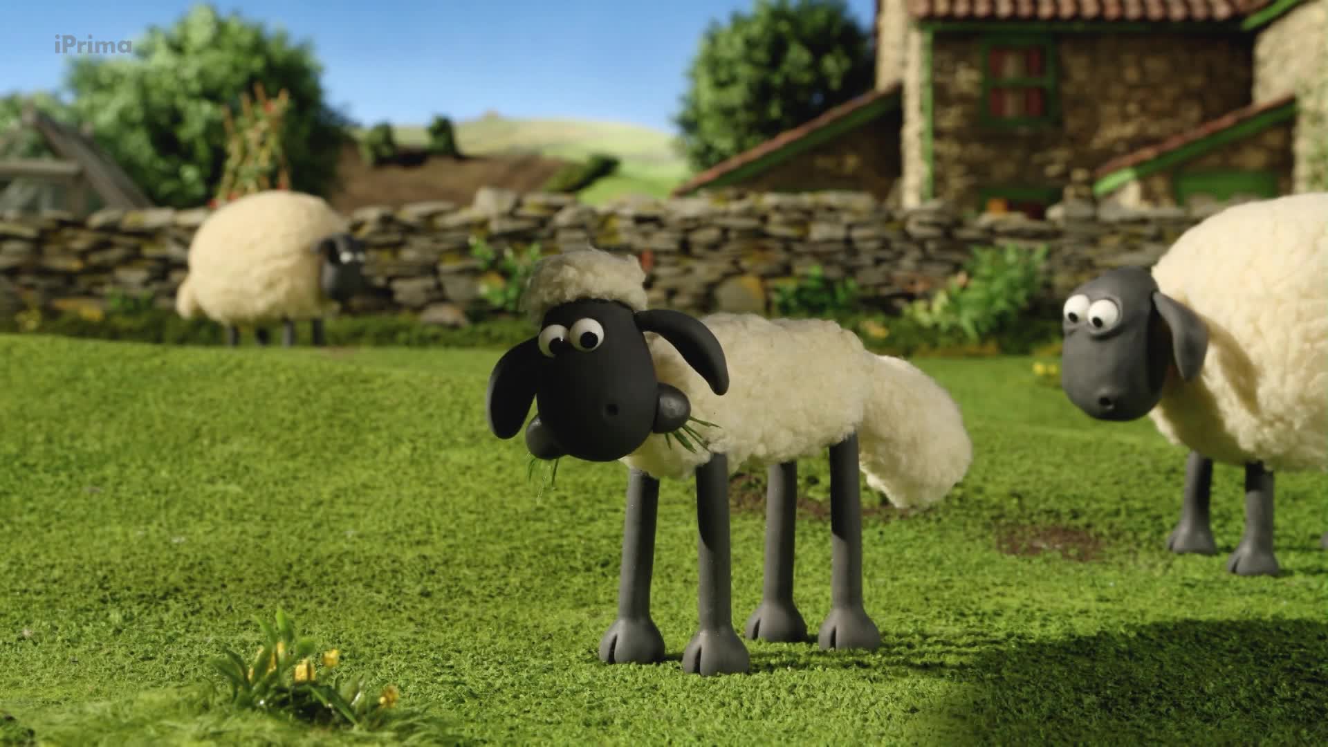 Ovecka Shaun S02E22 Jako by mu ulitly ovce [What's Up Dog] (cz 1080p) mp4