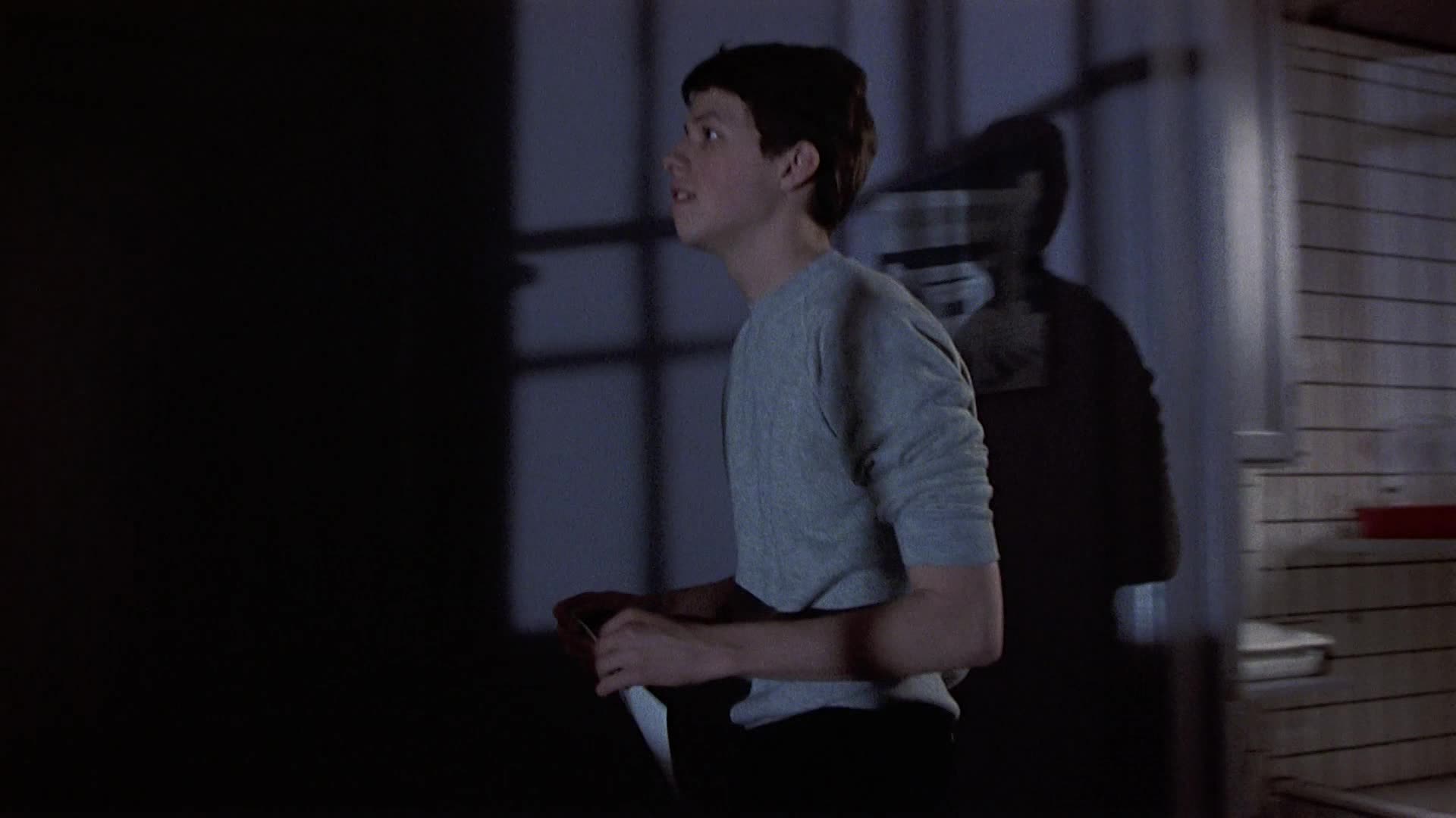 Žádná maličkost =1984 CZ avi