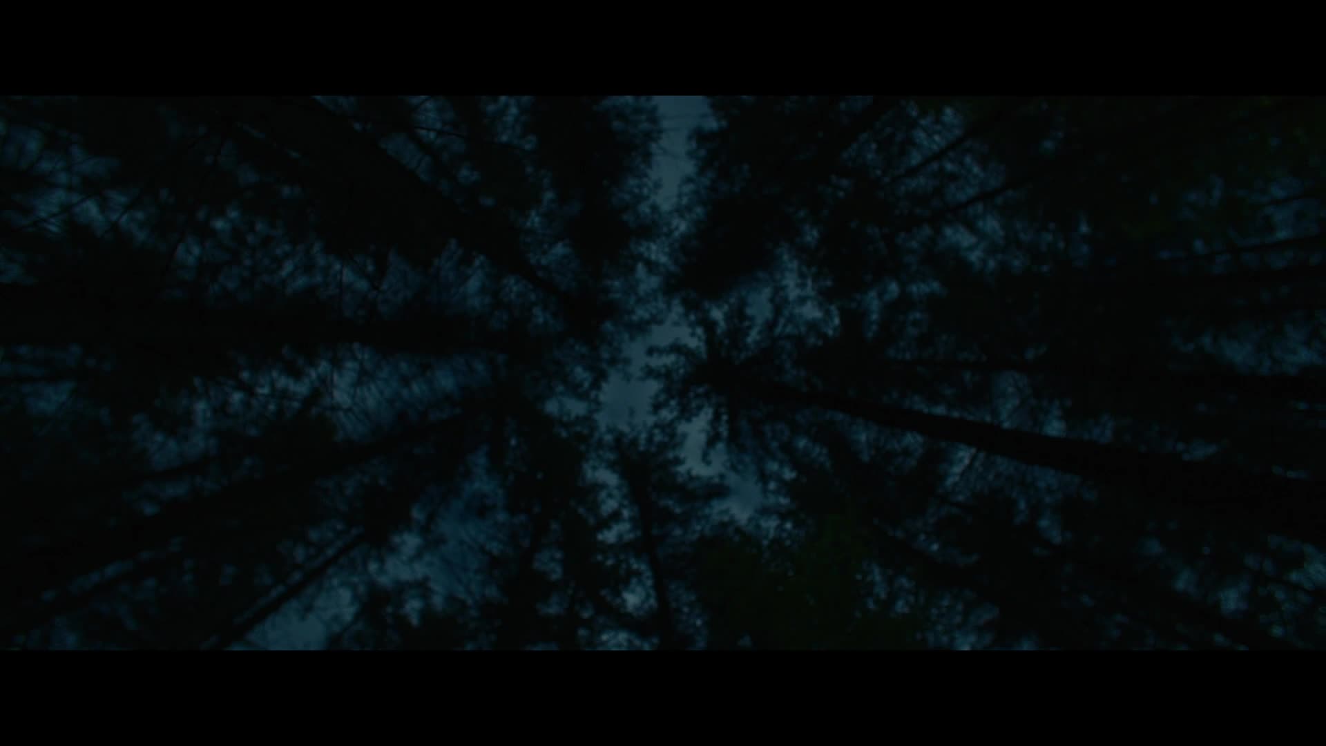 Hagen: V údolí Nibelungů S01E03 2025 CZ dabing HD 1080p mkv