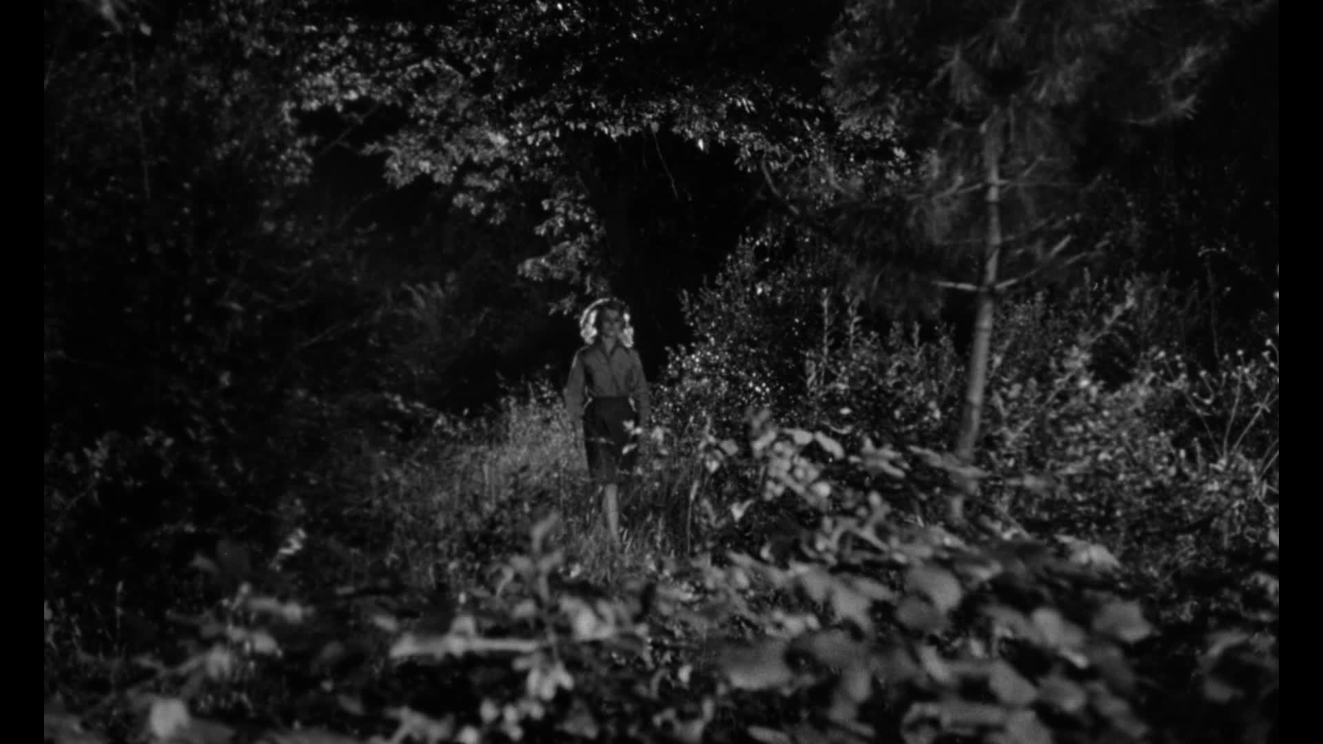 Vlkodlak v dívčí polepšovně 1961 CZ dab 1080p mkv