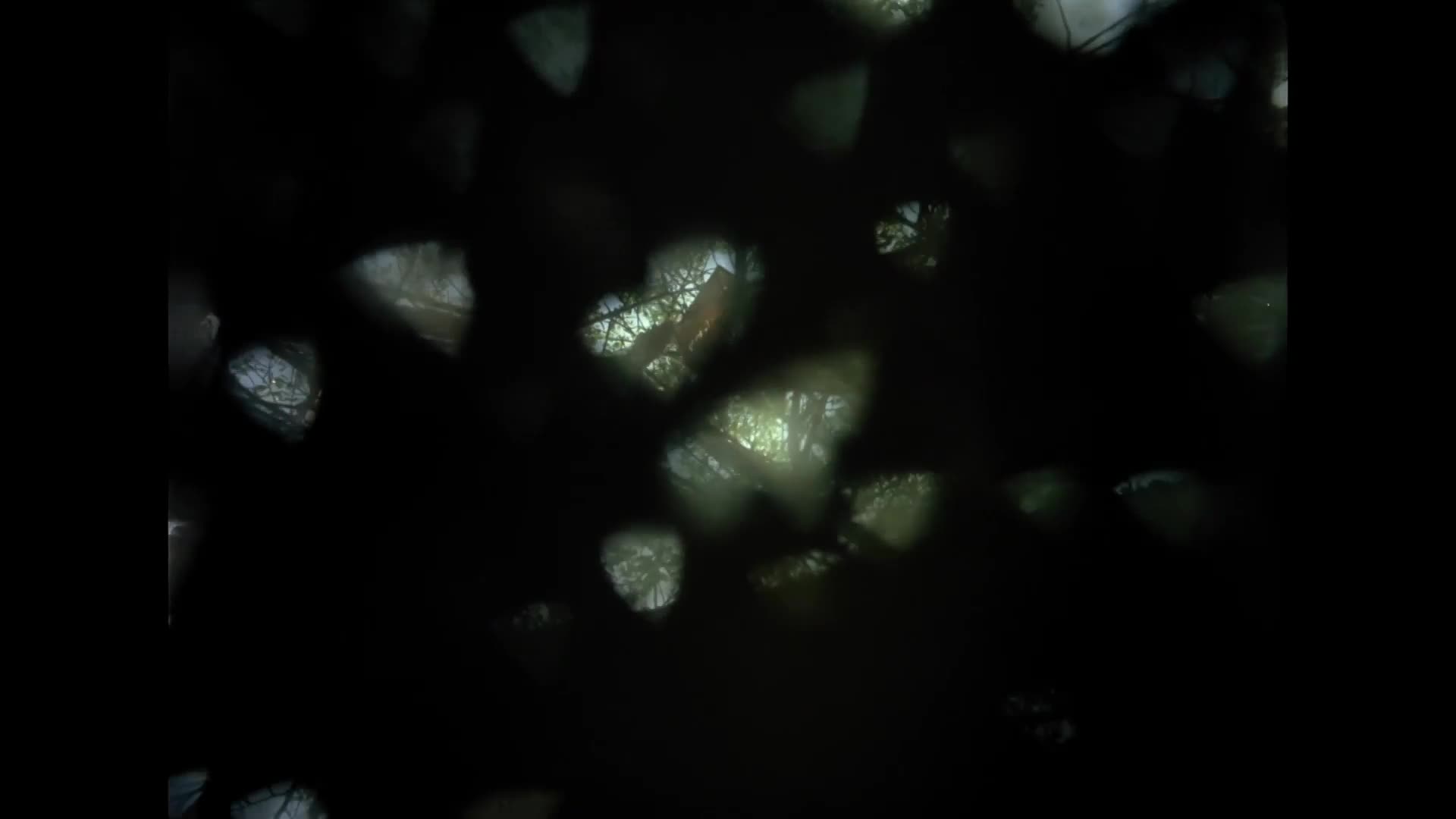 Cena medu {1986} drama 1080p mkv