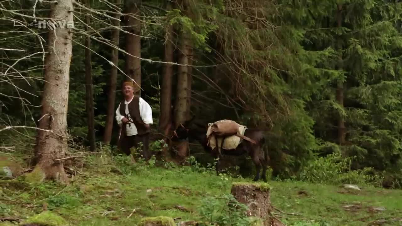 Kráska a zvíře 2012 CZ dab avi