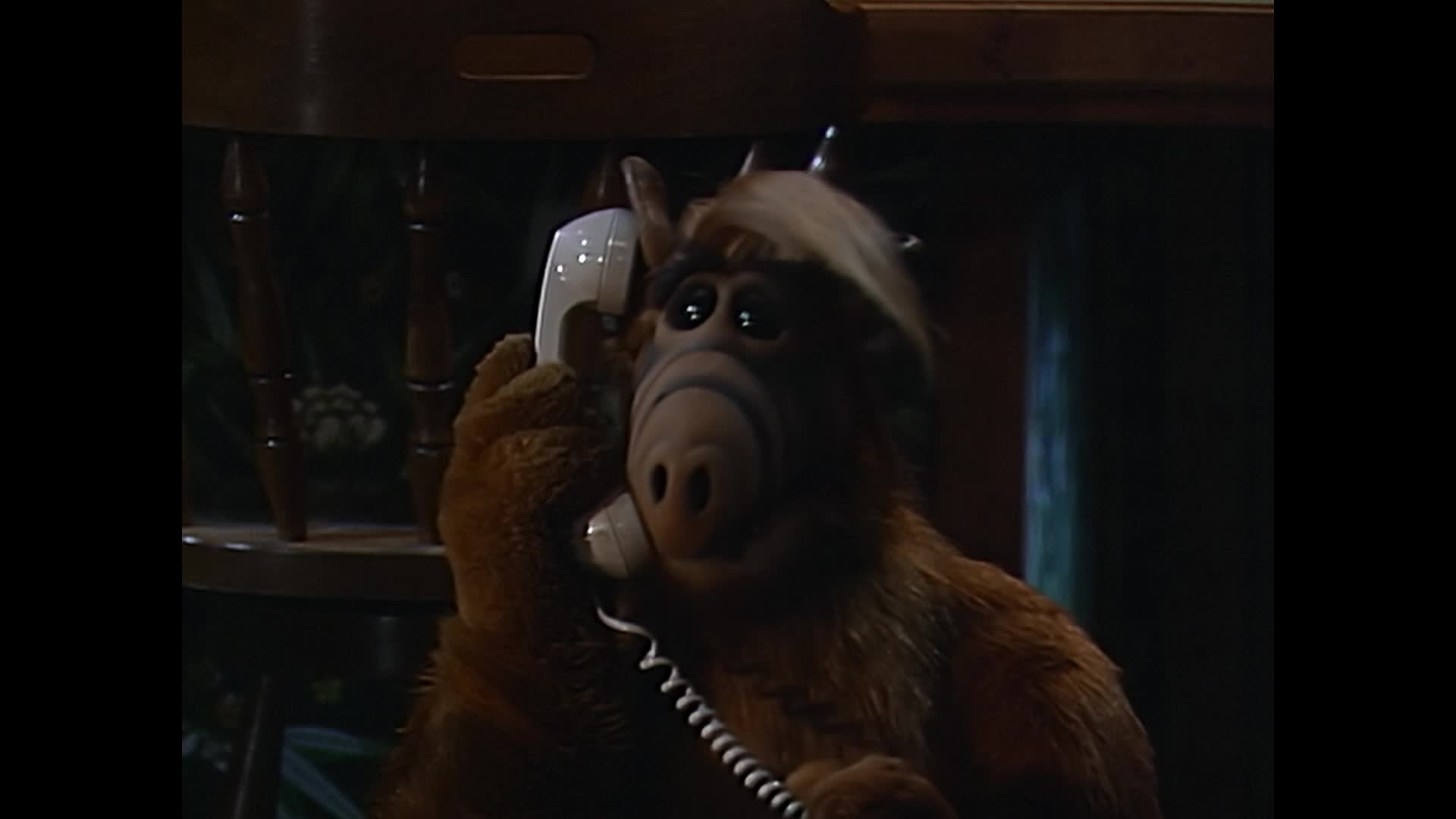 Alf (1987) S02E18 Občané a zloději 2 mkv