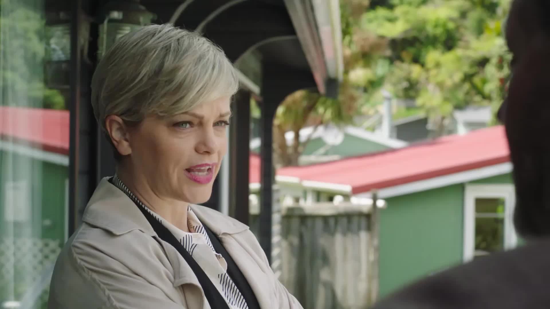 Vraždy v Brokenwoodu S08E03 Zažehnutá jiskra mp4