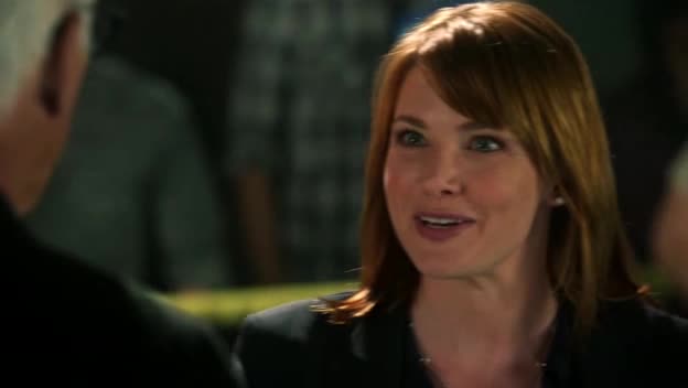 Kriminálka Las Vegas 14x04 Poslední večeře CZ avi