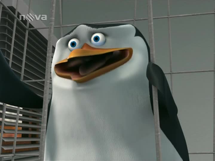 Tučňáci z Madagaskaru S01E10 Ostrý hrot Zatměno mp4