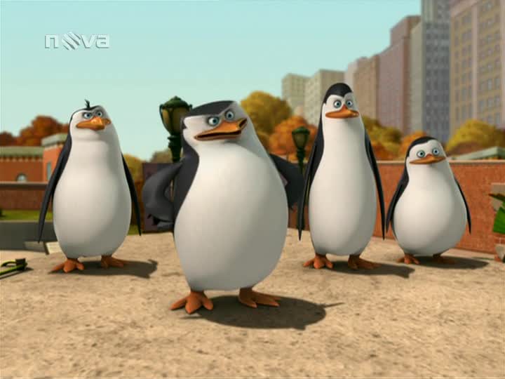 Tučňáci z Madagaskaru S02E21 Nepravá pravá ruka Mozková mizérie mp4