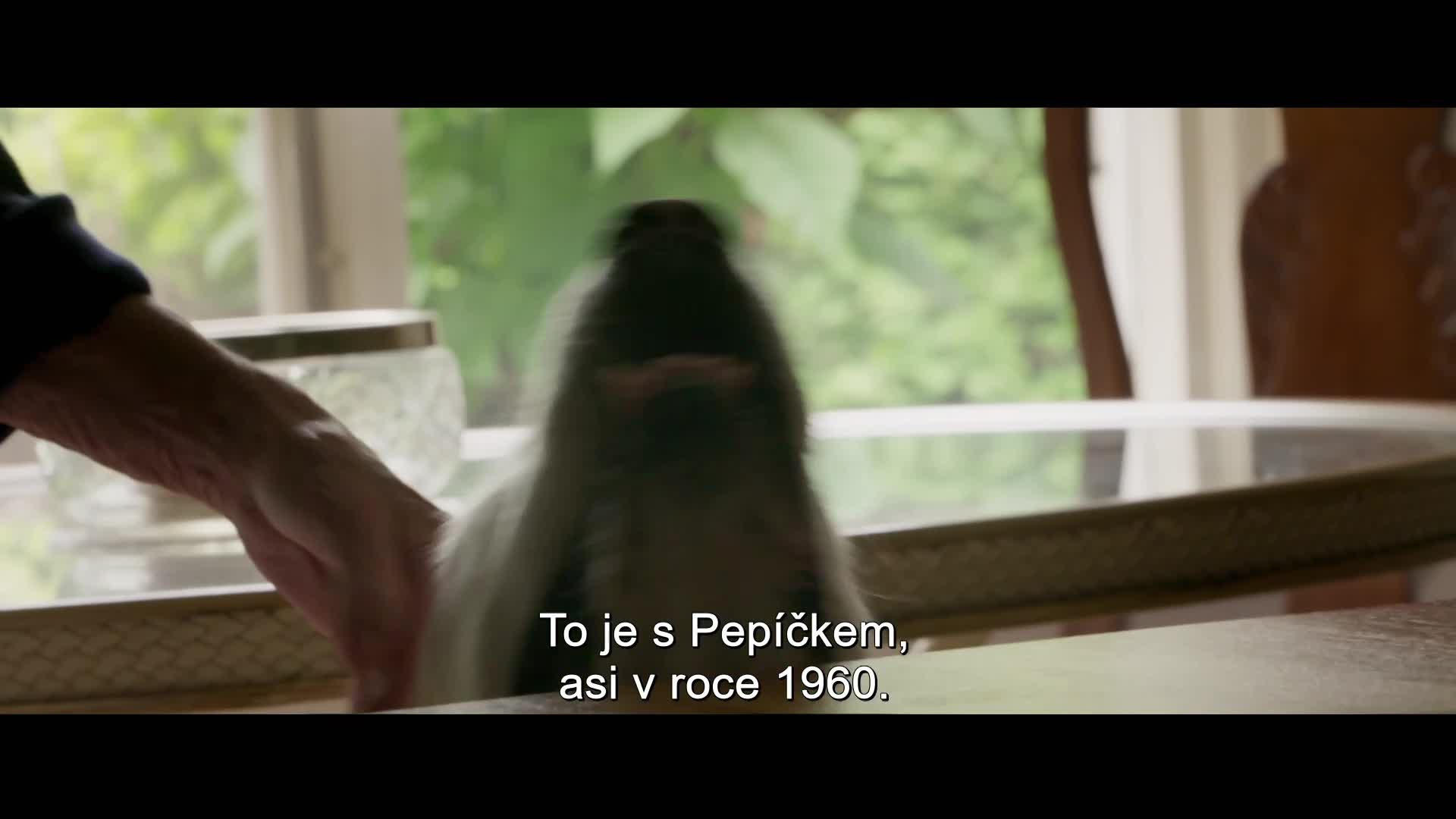 Králové Šumavy 2024 CZ dokument HD 1080p mkv