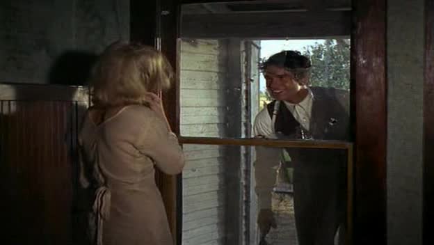 Bonnie and Clyde =1967 CZ avi