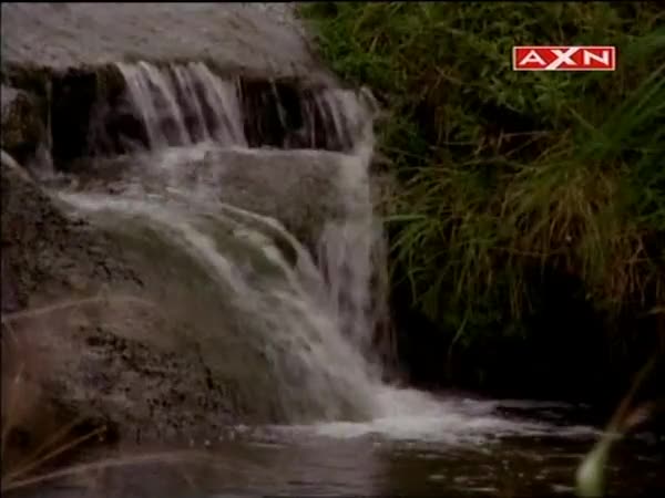 Herkules (1995) 1x02 Oko pozorovatele CZ dabing mp4