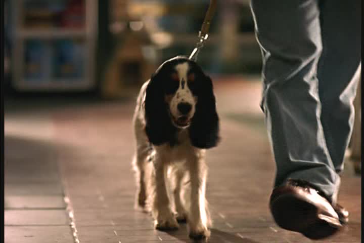 Argentinka v New Yorku 1998 CZ dab 360p mkv