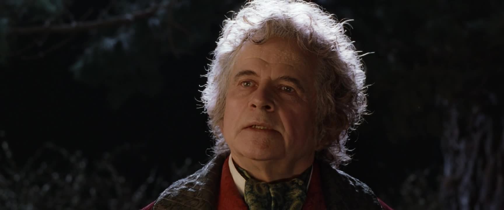 Pán prstenů 1 Společenstvo Prstenu 2001 CZ dabing HD mp4