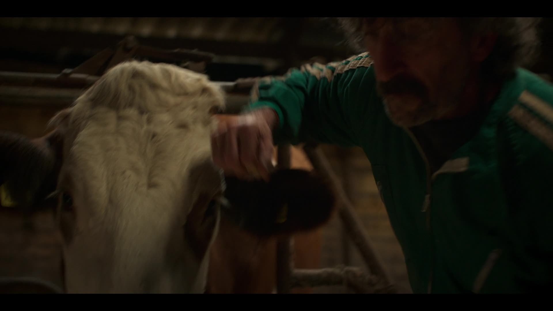 Starý pes, nové kousky S01E08 {2025} komedie AAC 5 1 1080p CZ dabing mkv