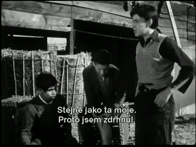 Zapomenutí 1950 CZ tit avi