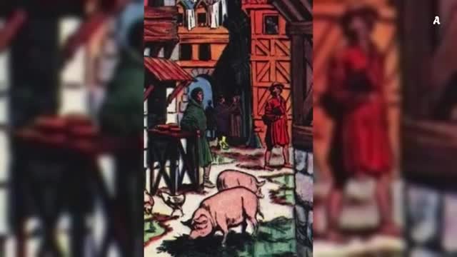 Tyto Paláce NEJSOU Pro Lidi! Nepříjemná pravda o Versailles a Petrodvorci mp4