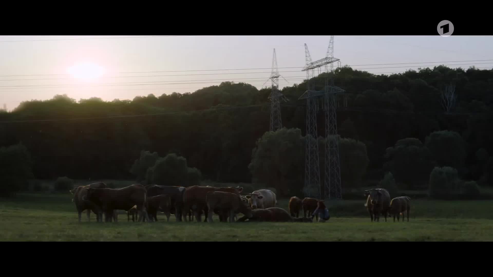 Oderbruch S01E01 08 2023 CZ tit 1080p Starověcí duchové mp4