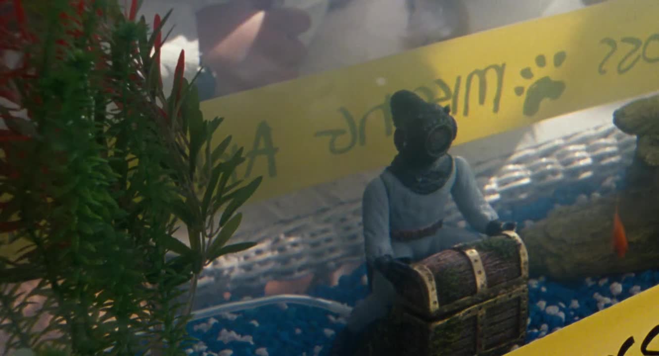 Ace Ventura Junior: Zvířecí detektiv 2009 CZ dabing HD mp4