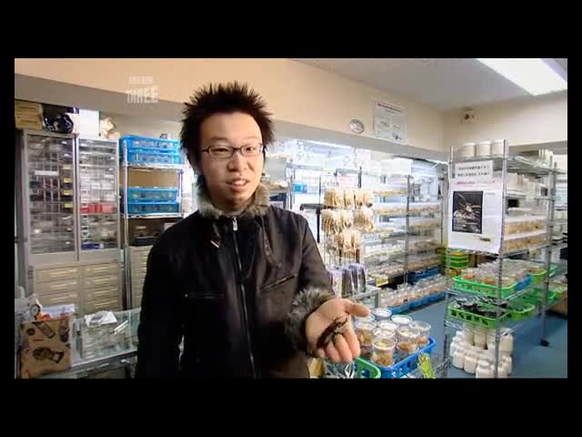 Japanorama S02E05 Bushido (Samurai Spirit) mp4