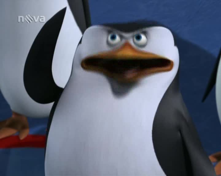 Tucnaci z Madagaskaru 01x18 Zazrak na lede DVB T Rip CZ XviD HiT avi