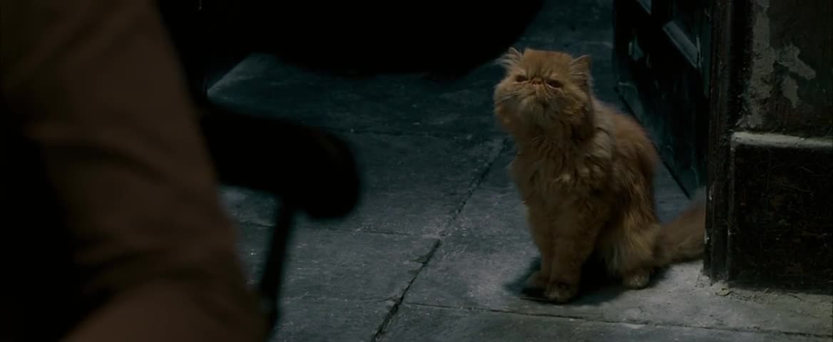 Harry Potter V a Fénixův řád 2007 cz mp4