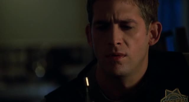 Kriminálka Las Vegas 08 14 Opušťák mp4