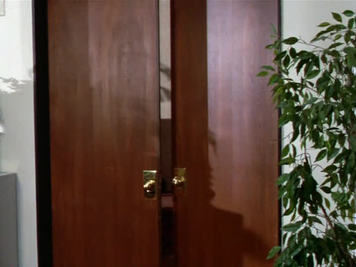 Měsíční svit 3x12 Sam a Dave avi