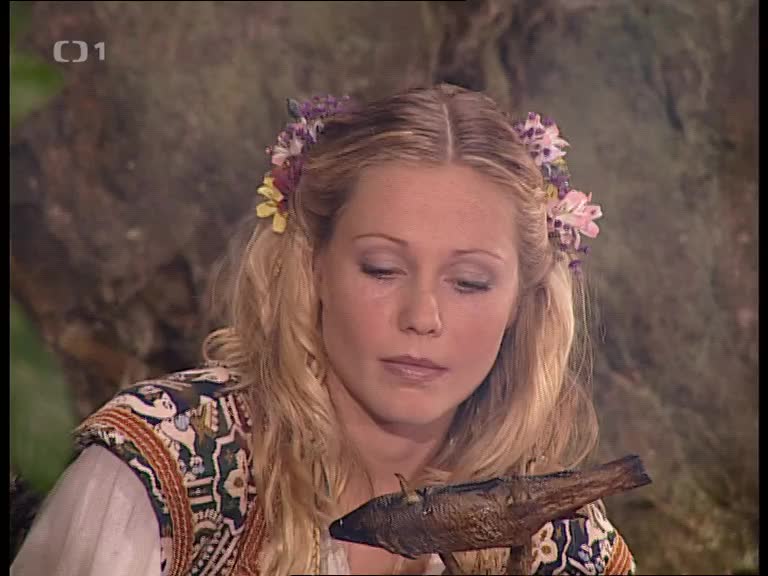 O princezne se zlatym lukem [2002 Cz] (576p) ts