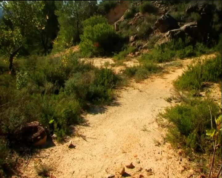 Minuscule S01 Dung Beetle Blues (en 576p) mp4