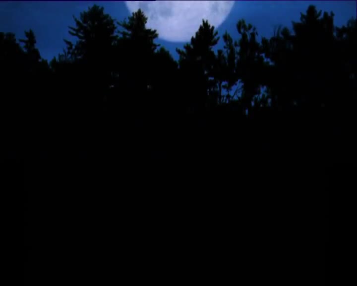 Minuscule S01 Sleepless Night (en 576p) mp4