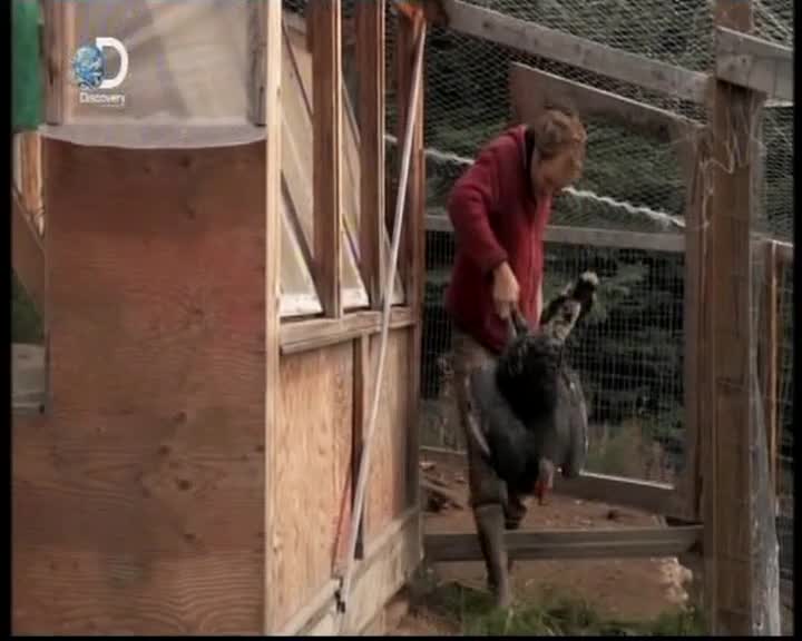 Aljaska posledni divocina 039 SD Rodina Kilcheru 4 mesice v roce lovi, pestuje plodiny a zasobi se jidlem mkv