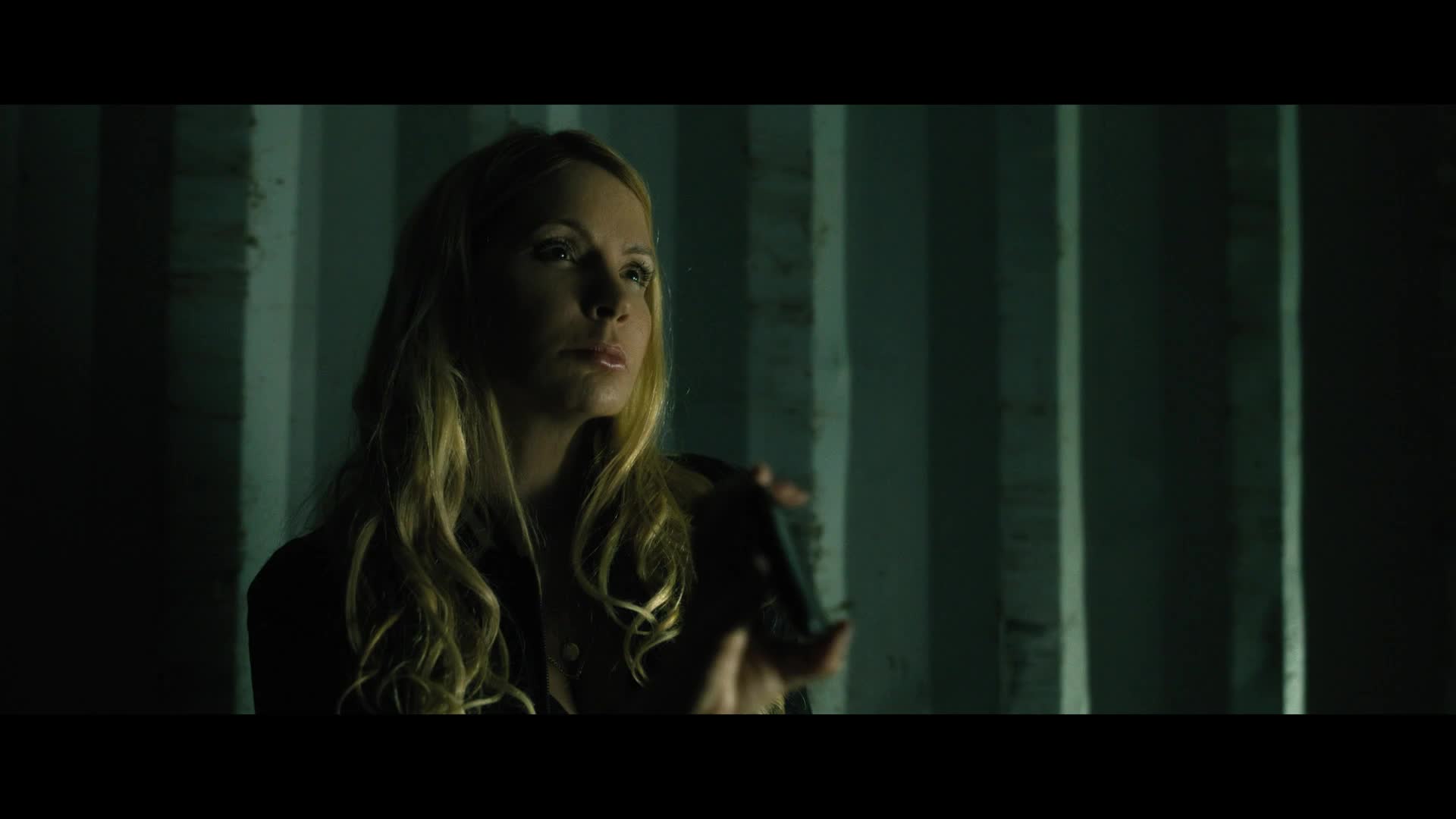 Dokonalá loupež 2 2025 CZ dab 1080p mkv