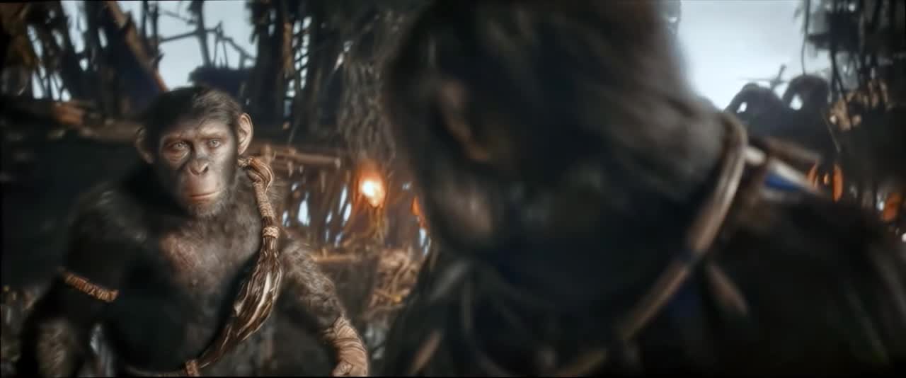 Království Planeta opic 2024 CZ tit mp4