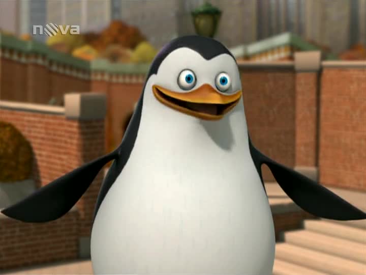 Tučňáci z Madagaskaru S02E25 Neshody se sousedy Na sledě a následně SDTV x264 PiP (1) mp4