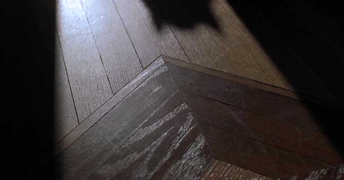 Myšák Stuart Little 1 1999 avi