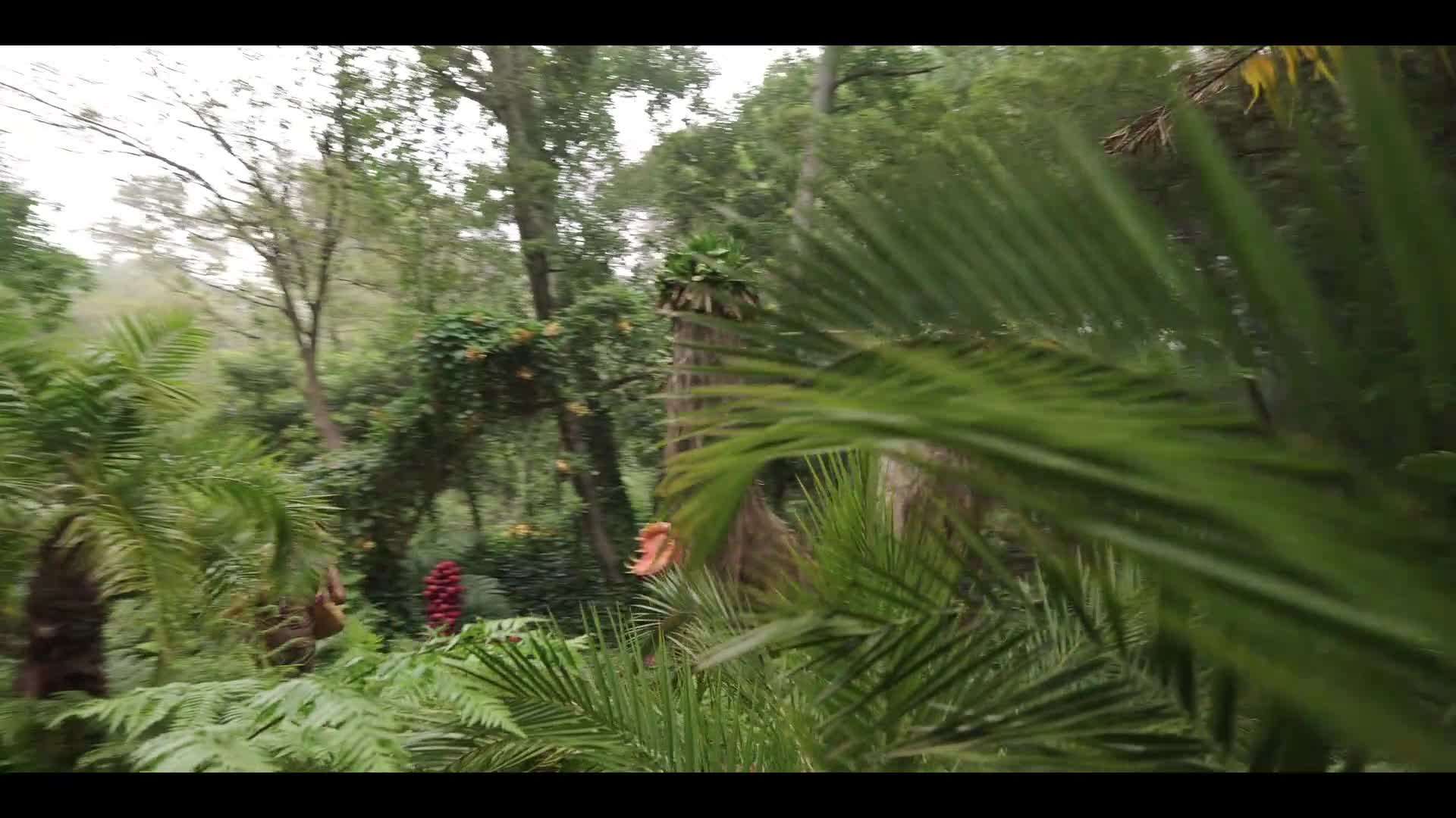 One Piece S02E05 2026 CZ dabing HD mkv