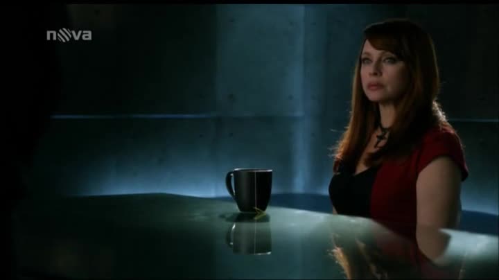 Kriminálka Las Vegas 15x20 Finále 2 část avi